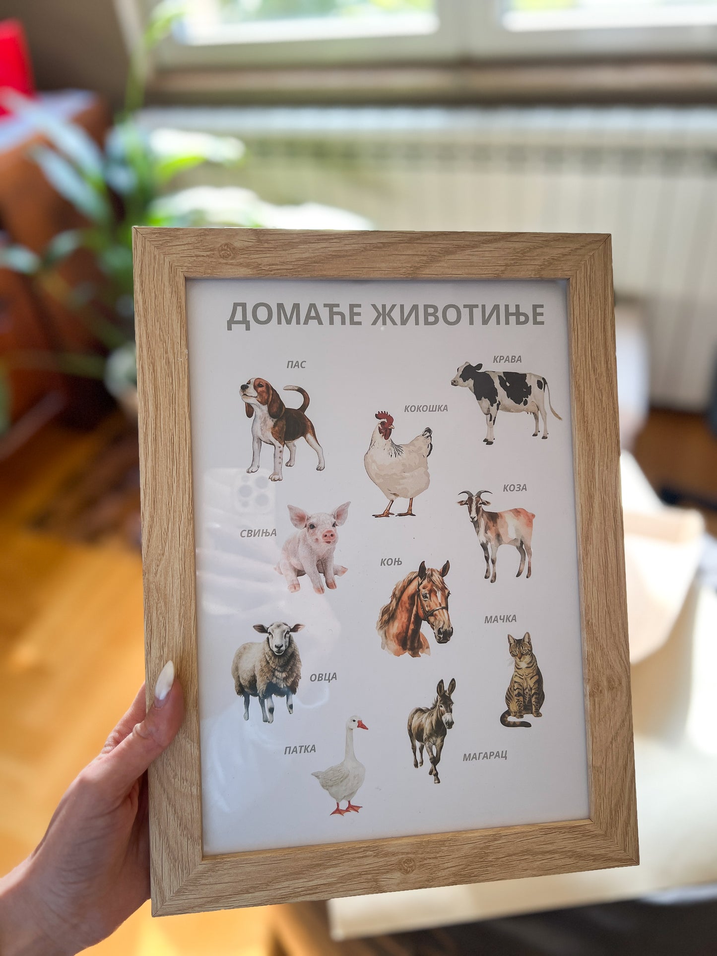 Edukativni poster - Domaće životinje