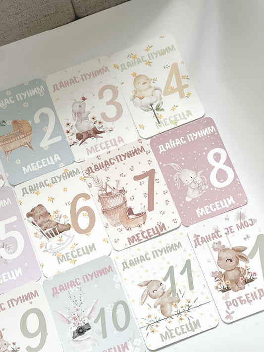 Kartice meseci za fotografisanje  - devojčice Pastel